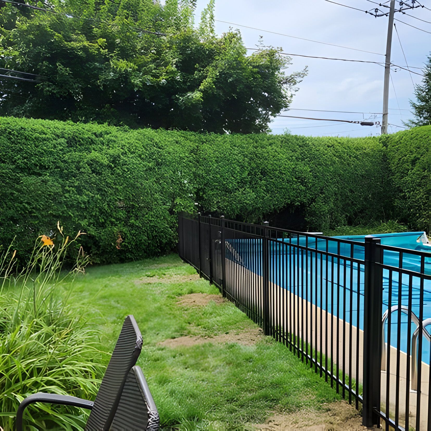 Backyard with pool, black fence, and tall green hedge. Green grass and blue water are visible.