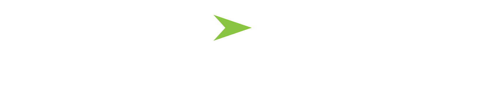 Small green arrow-shaped icon on a white background
