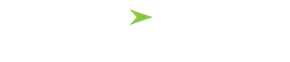 Small green arrow-shaped icon on a white background