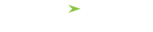 Small green arrow-shaped icon on a white background