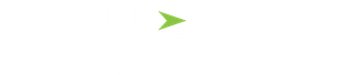 Small green arrow-shaped icon on a white background