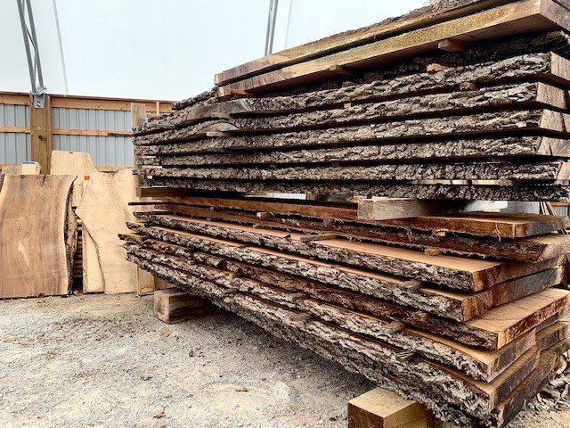 Stack of live edge wood slabs from Kawartha lakes. Black Walnut live edge slabs.