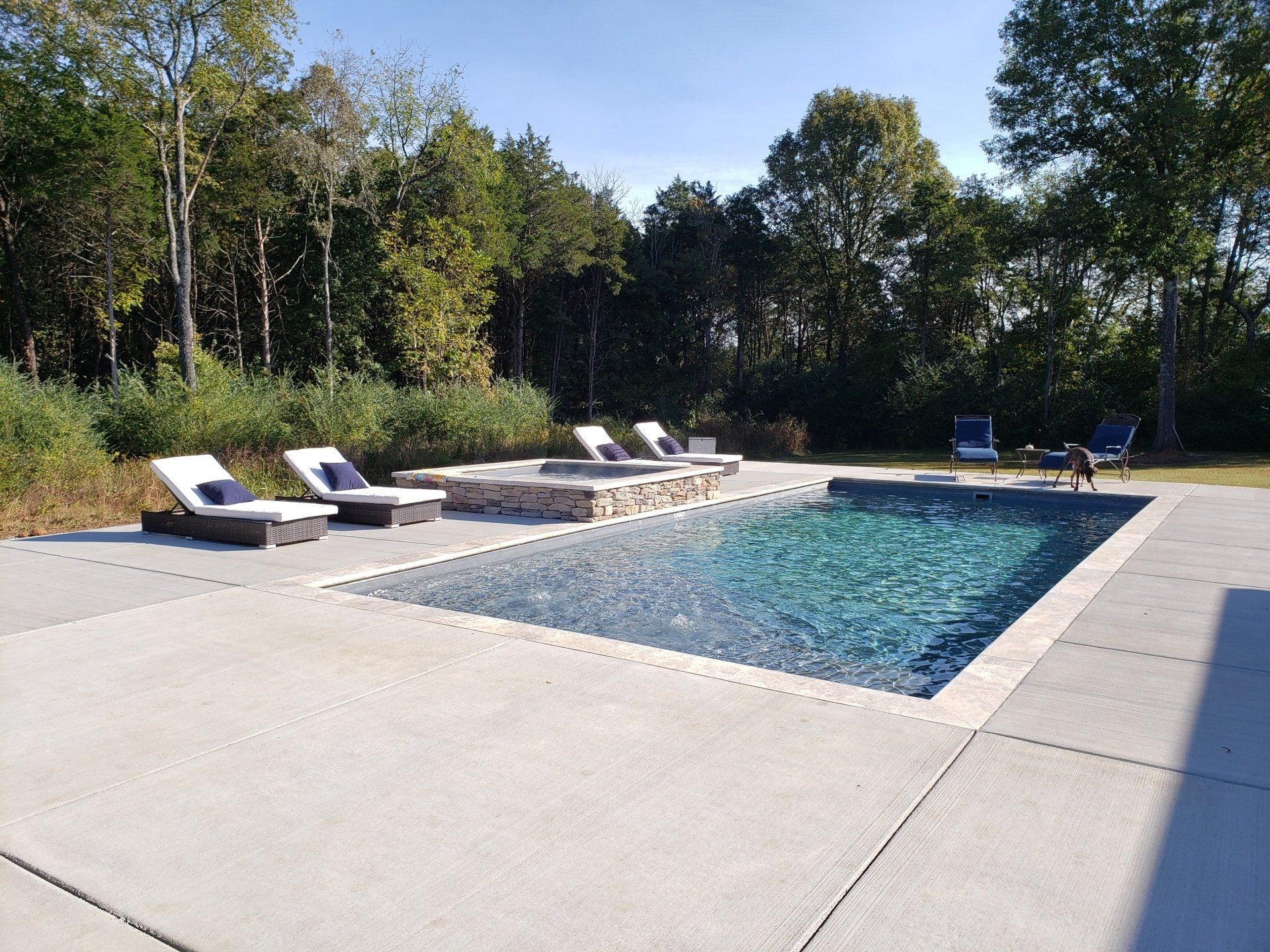 A large swimming pool is surrounded by chairs and trees.