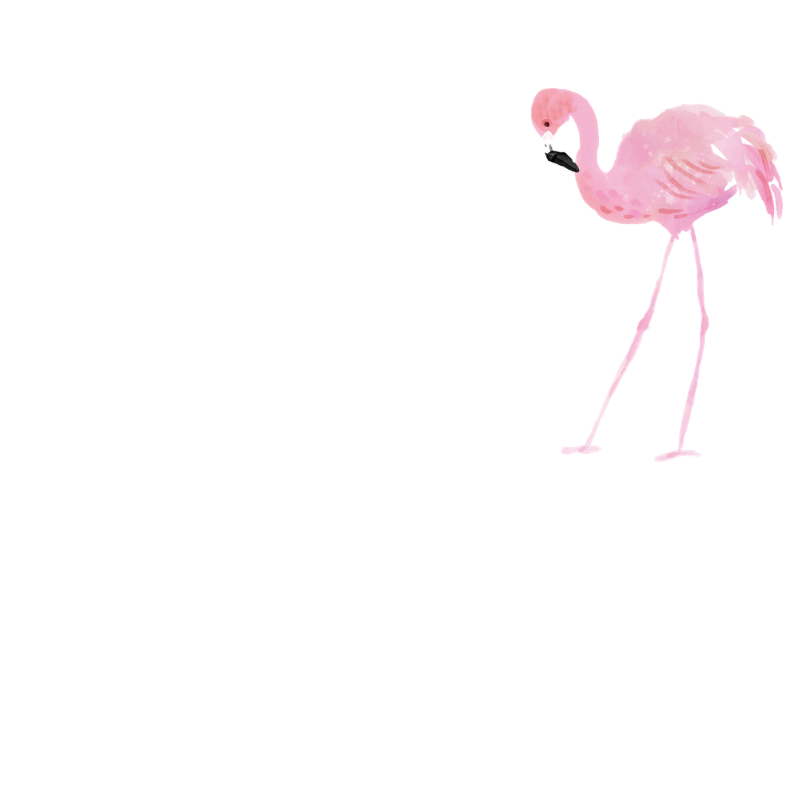 MEMBER OF THE CELEBRANT SOCIETY