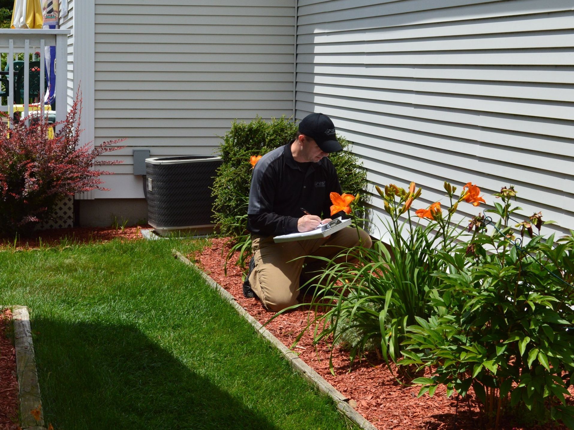 Pest Assassins In MA & RI Pest & Rodent Control Veteran Owned