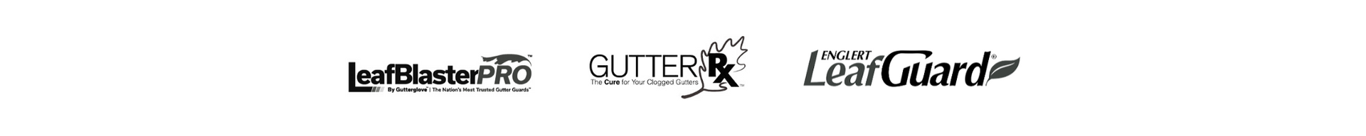 Green banner reading “SEE WHAT’S IN STORE” in tan text