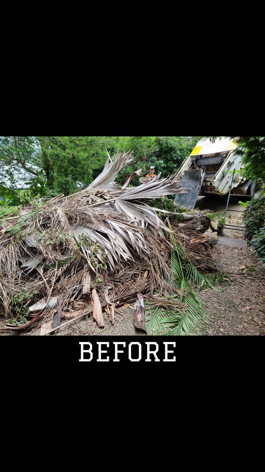 A Large Pile Of Wood Is Sitting In The Middle Of A Forest — Garden Bag in Kelsey Creek, QLD