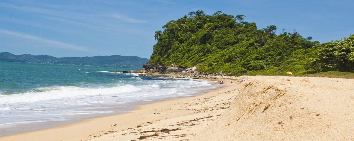 Uma praia com um barco na água e árvores ao fundo.