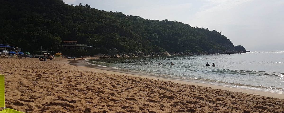 Uma praia com gente nadando na água e um morro ao fundo.