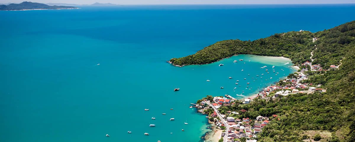 Vista aérea de uma pequena ilha no meio do oceano cercada por árvores.