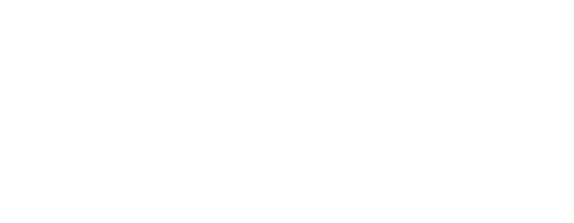 A white background with a few lines on it