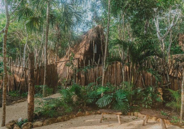 Cabaña con techo de paja entre altas palmeras en un frondoso bosque tropical.