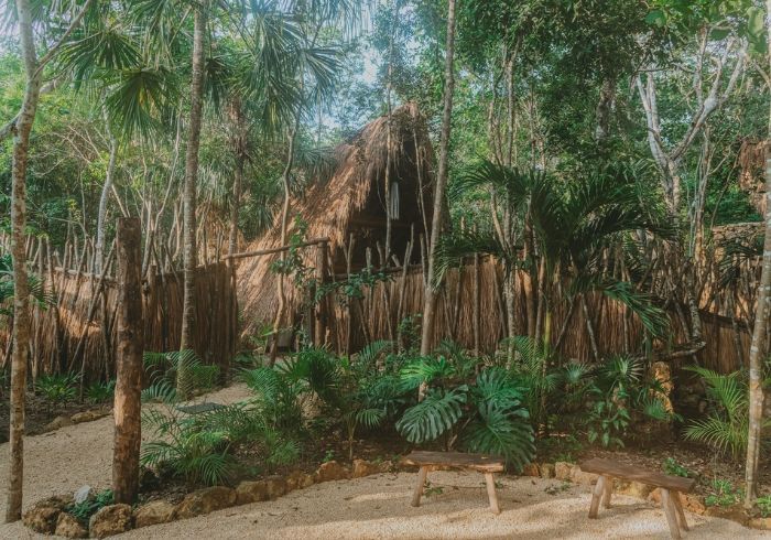 Jardín tropical con palmeras, vegetación exuberante y una cabaña rústica con techo de paja al fondo.