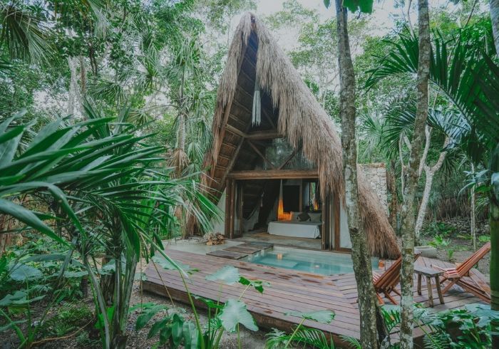 Cabaña rústica con estructura en forma de A y techo de paja sobre una plataforma de madera en un frondoso bosque tropical.