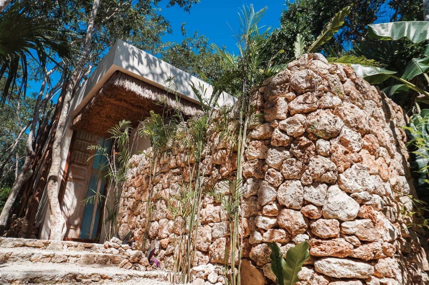 Fachada de casa de piedra con puerta de madera, rodeada de vegetación bajo un cielo azul brillante.