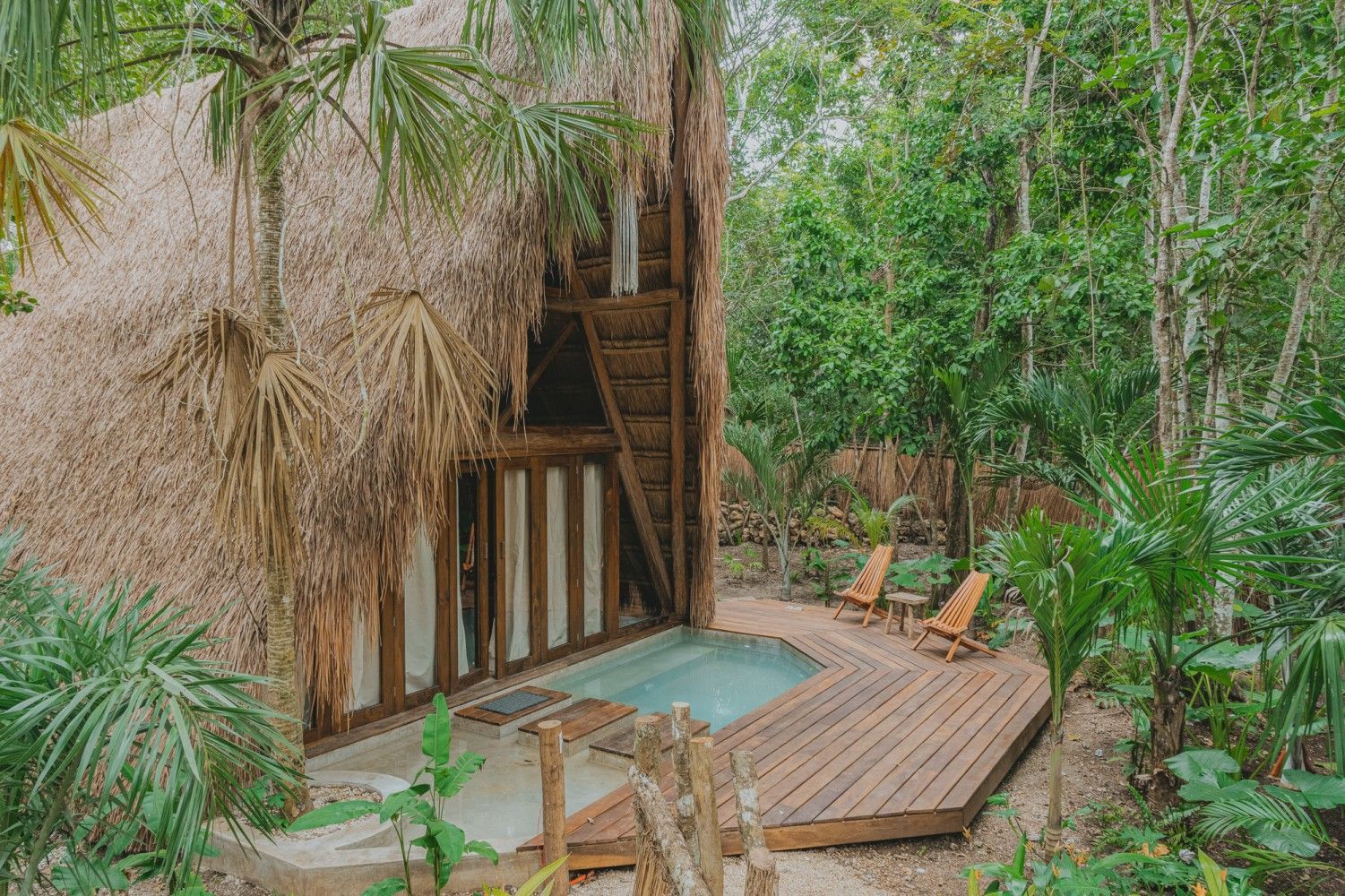 Terraza tropical de madera en una casa del árbol, rodeada de exuberante vegetación y palmeras.