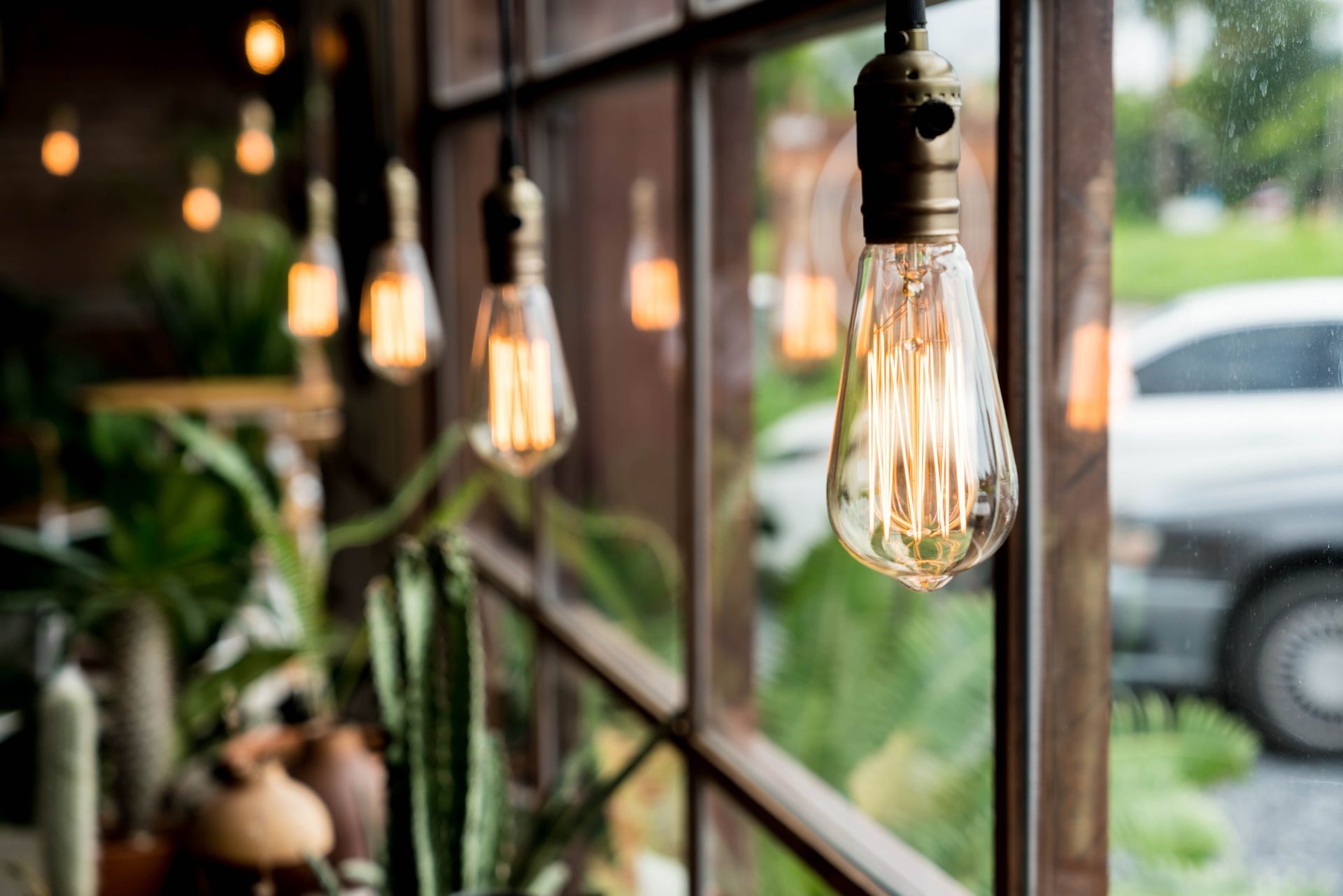 Warm hanging Edison bulbs in a windowed café with blurred greenery outside