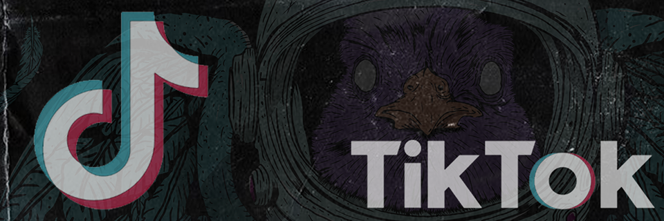 Tik Tok Veenuzbu Logotipo do TikTok com nota musical estilizada e marca denominativa em um fundo escuro texturizado.