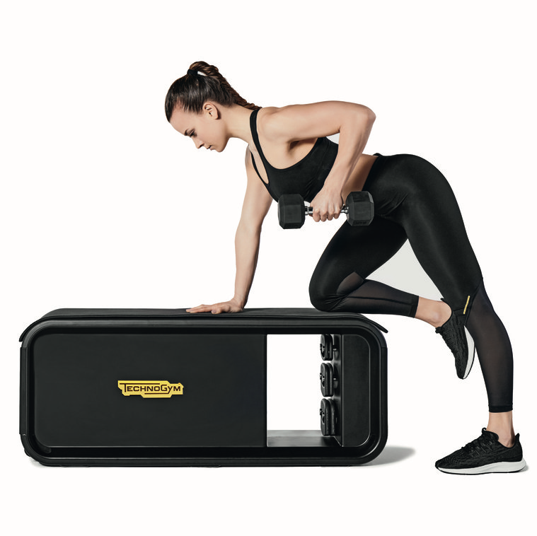 Prowellness Technogym Bench