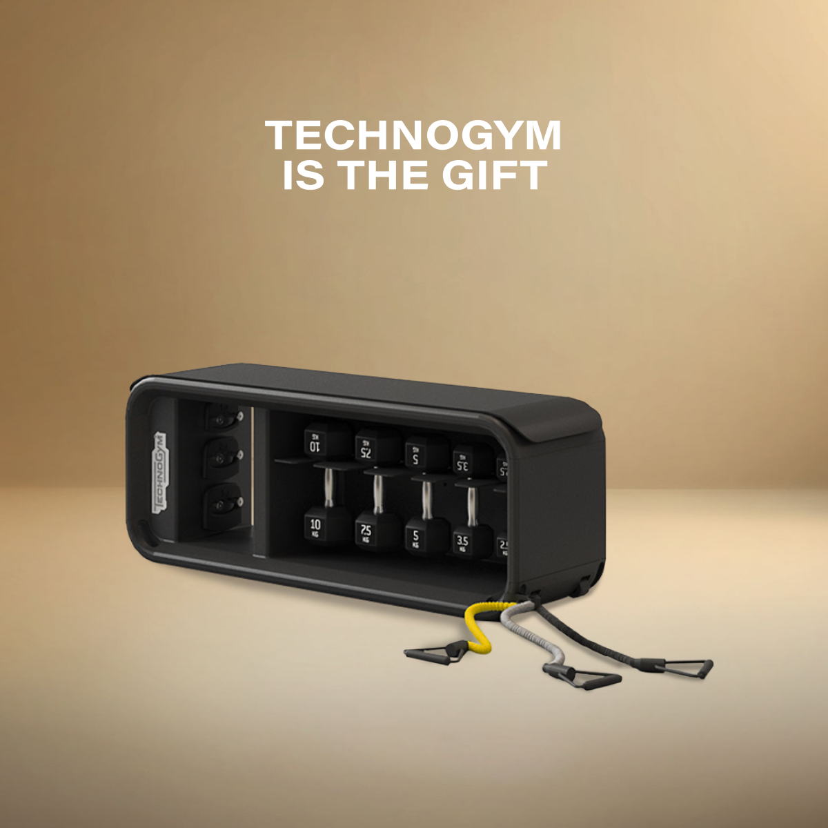 Technogym Bench