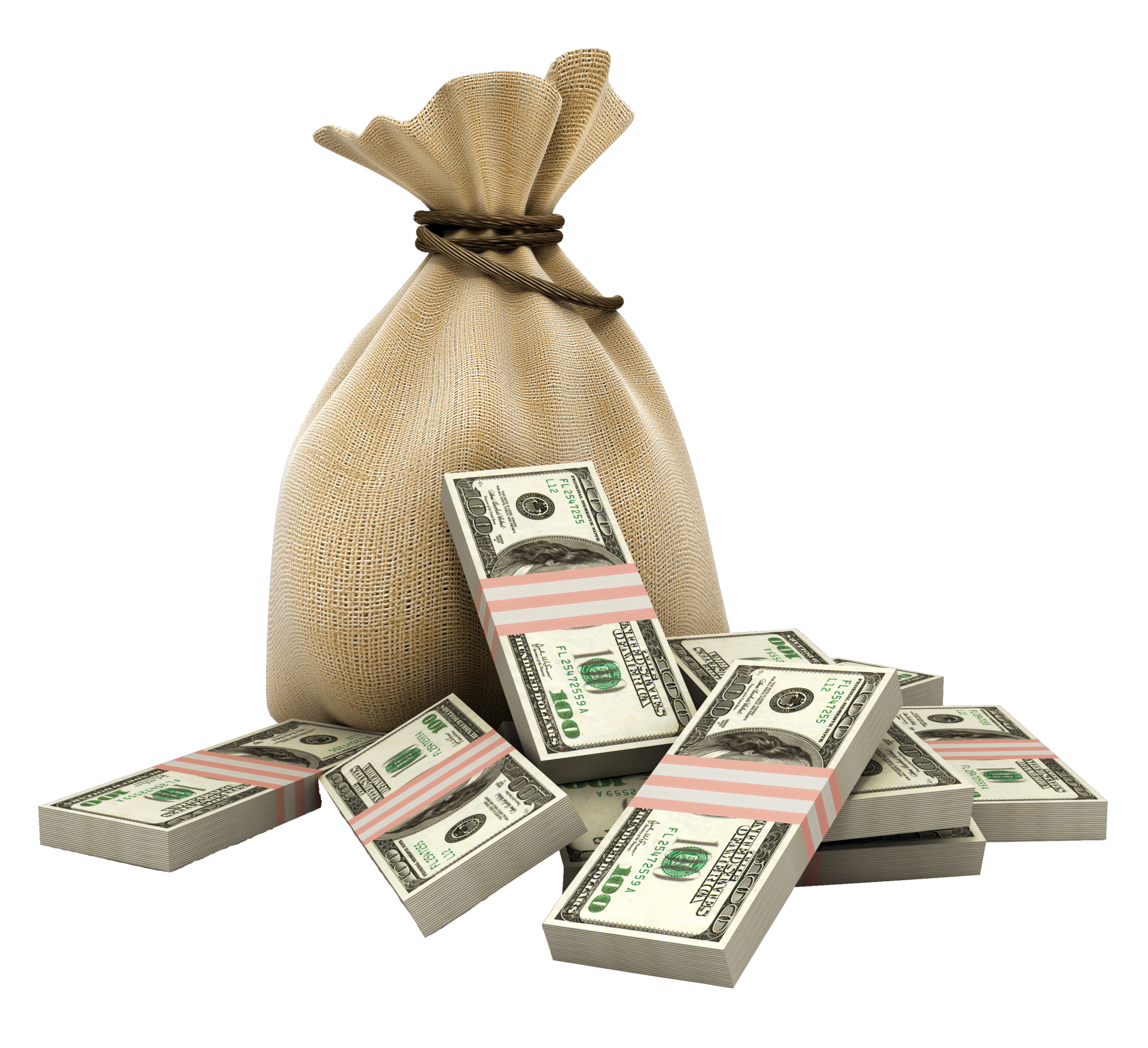 Money Bag