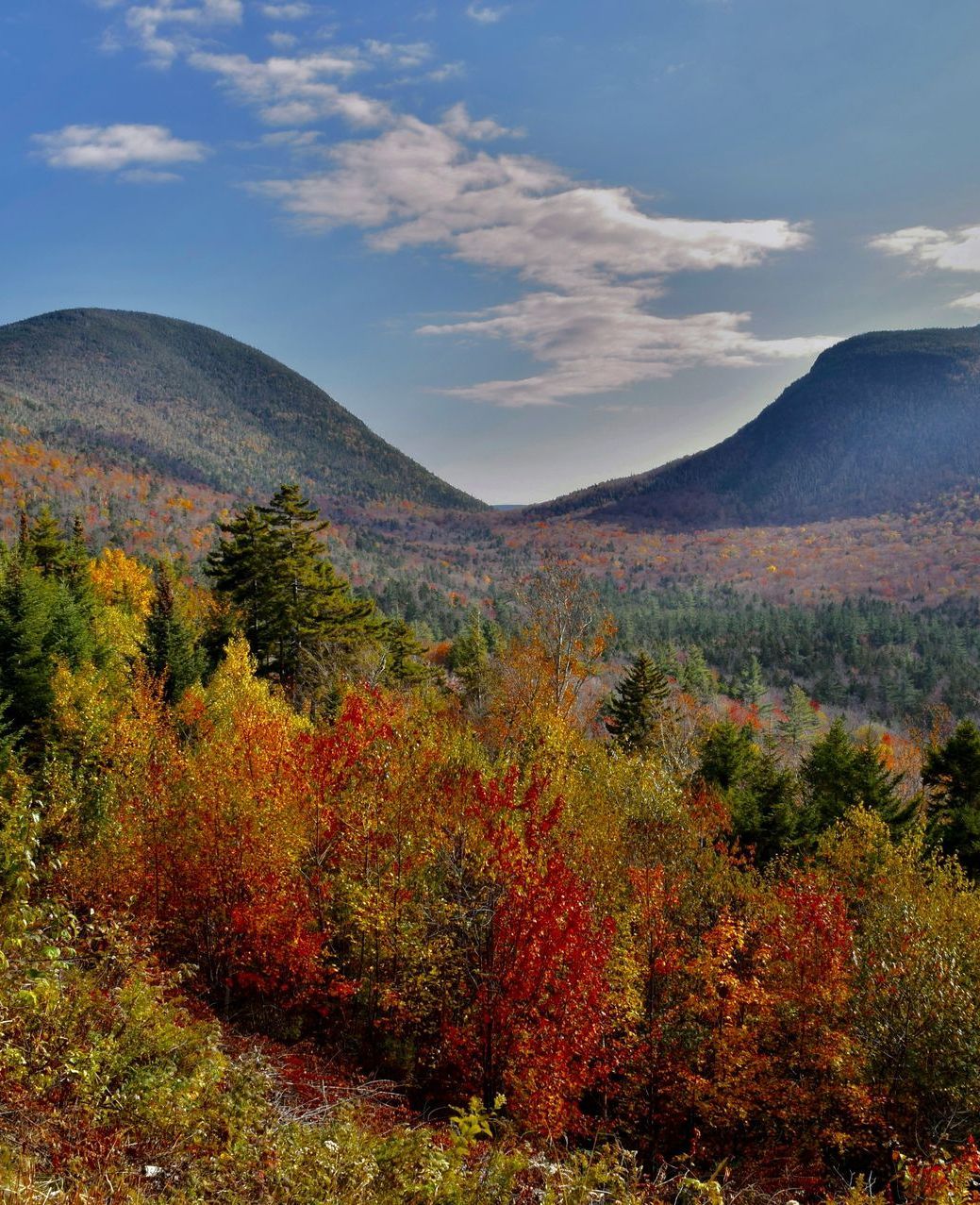 An aerial view of a waterfall surrounded by trees in autumn.
