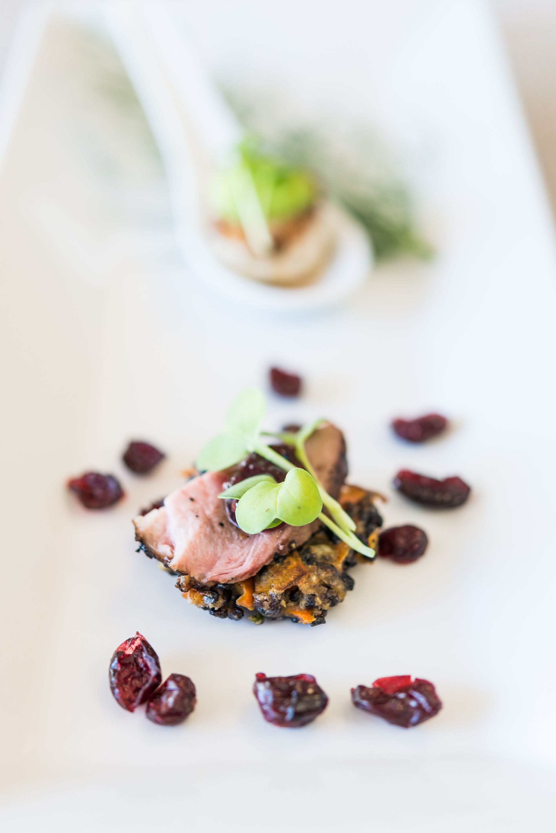 A white plate topped with a piece of meat and cranberries.