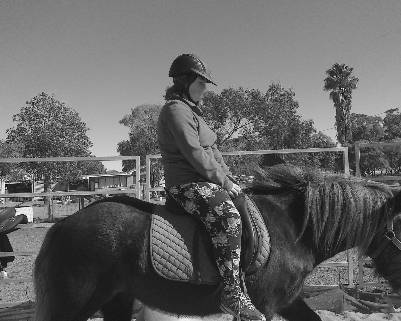 Rider on a horse in a fenced outdoor arena, with trees in the background.