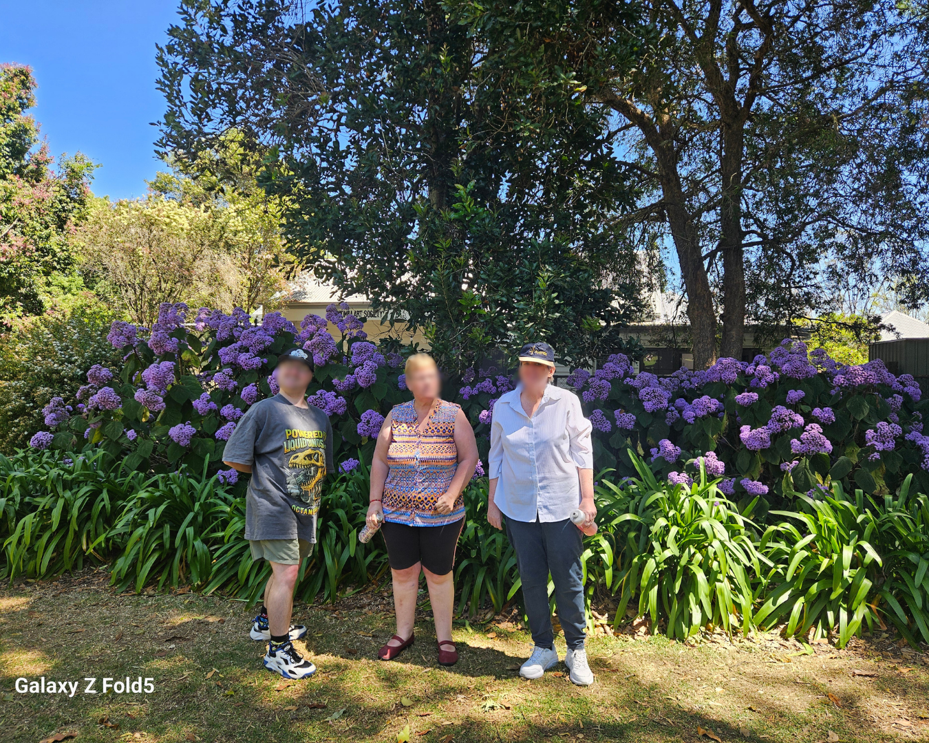 Three people standing on a path in front of purple flowering bushes and tall trees.