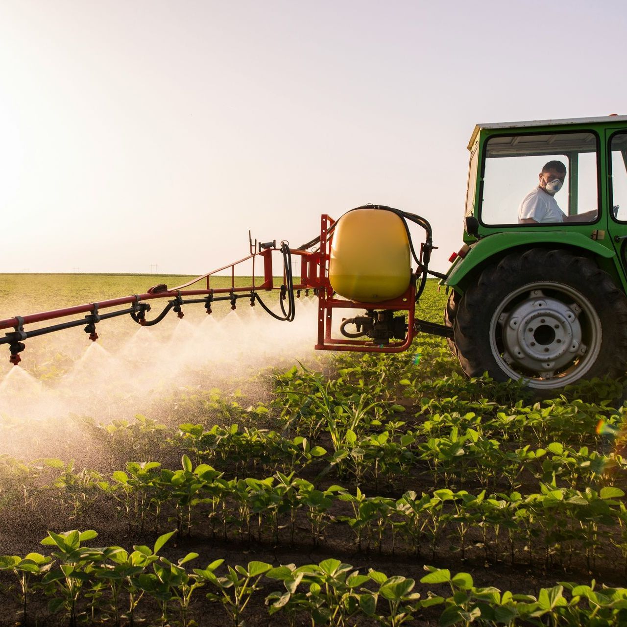 Green tractor spraying crops in a field at sunset