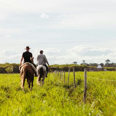 Two riders on horseback along a grassy fence line in a sunny rural field