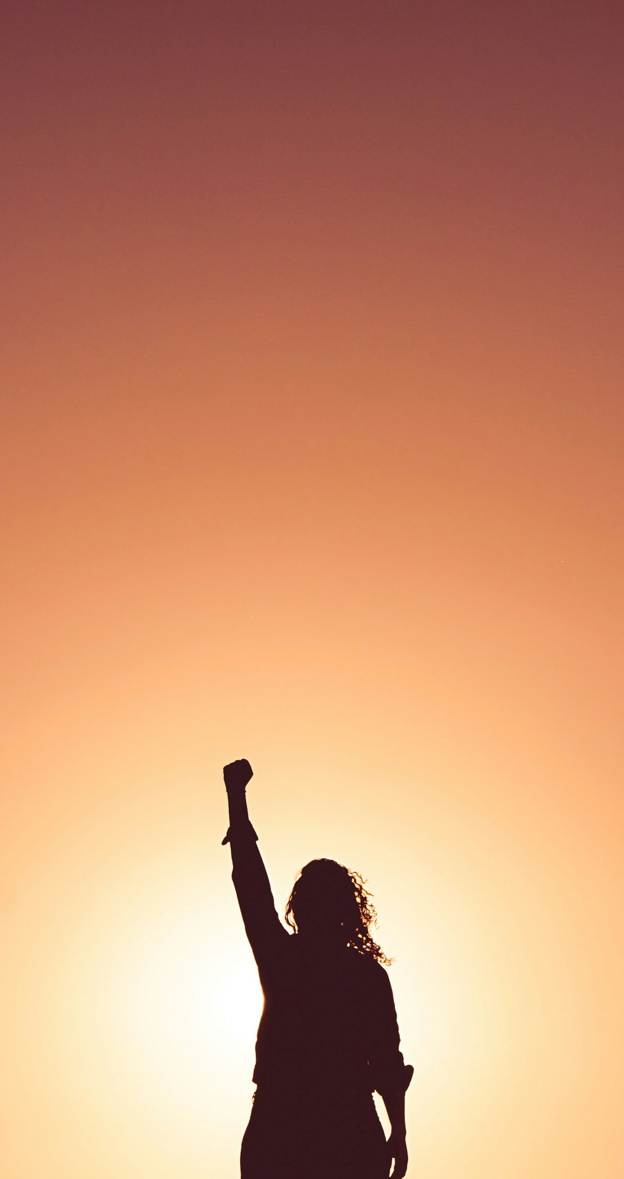 Silhouette of a person raising one fist against a bright orange sunset sky