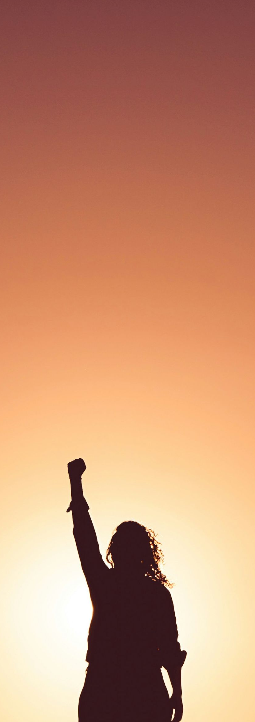 Silhouette of a person raising a fist against a glowing orange sunset sky