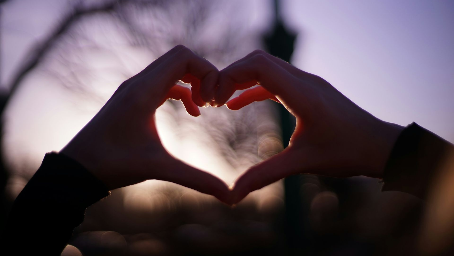 Hands forming a heart shape against a sunset sky with blurred tree branches