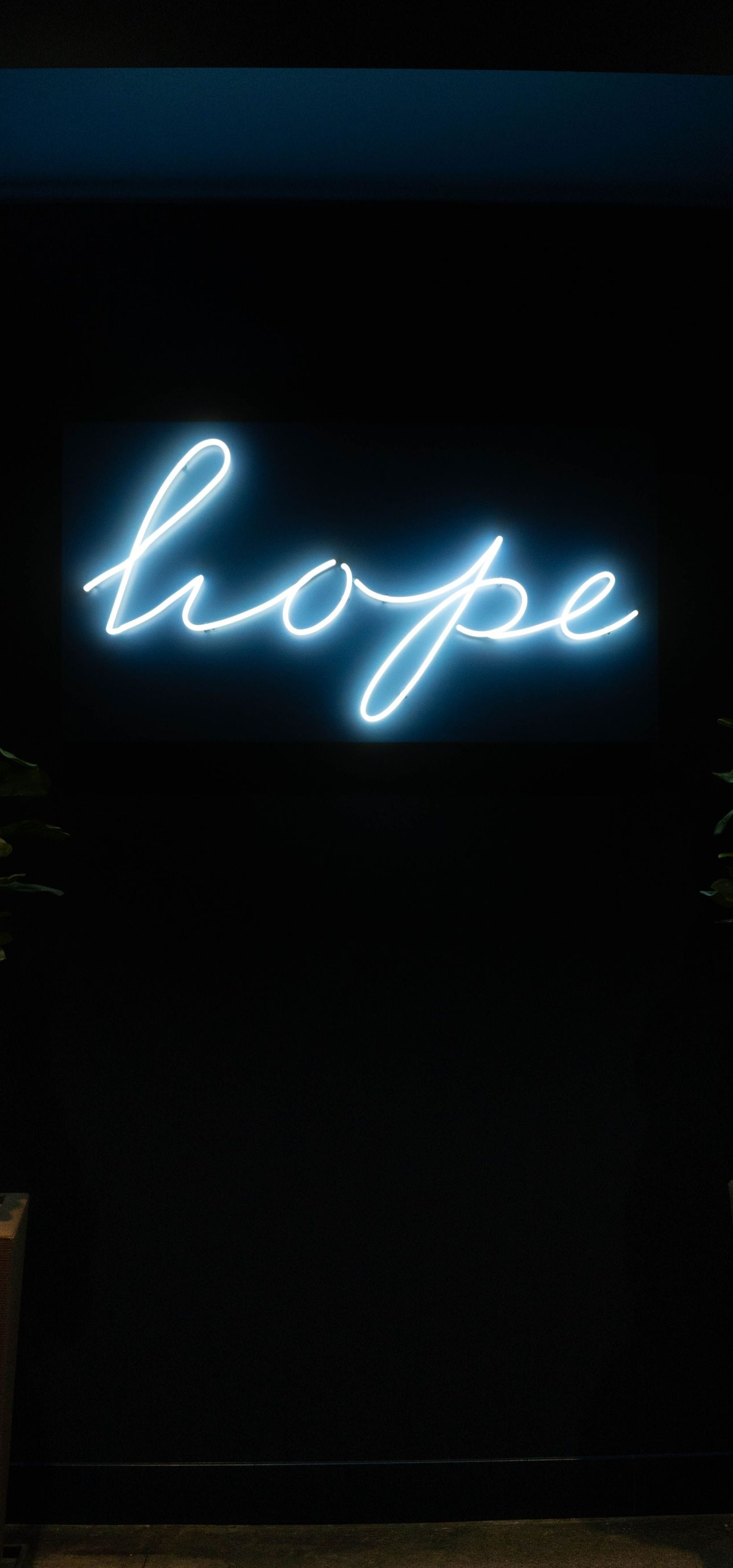 Glowing neon script spelling “hope” on a dark wall