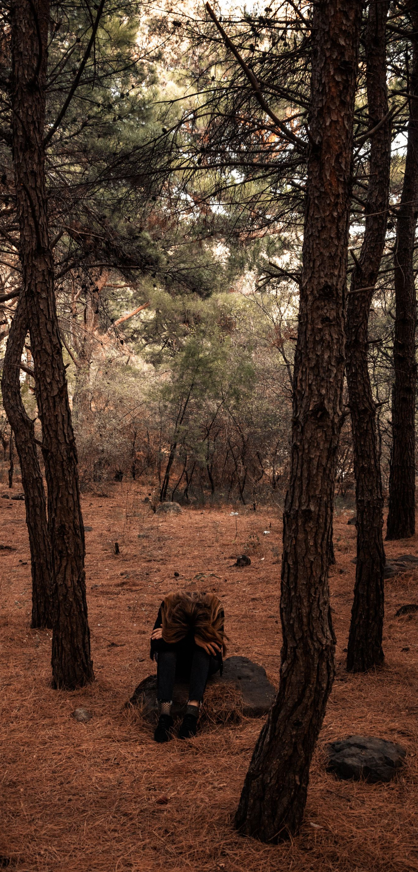 Person sitting among tall trees in a pine forest with a brown, leaf-covered ground
