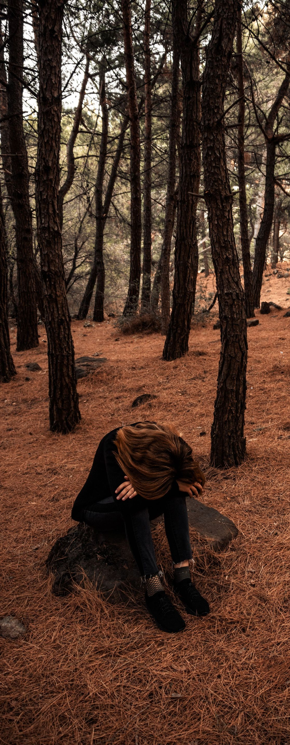 Person sitting hunched on pine needles in a dense forest with tall trees and warm orange light.
