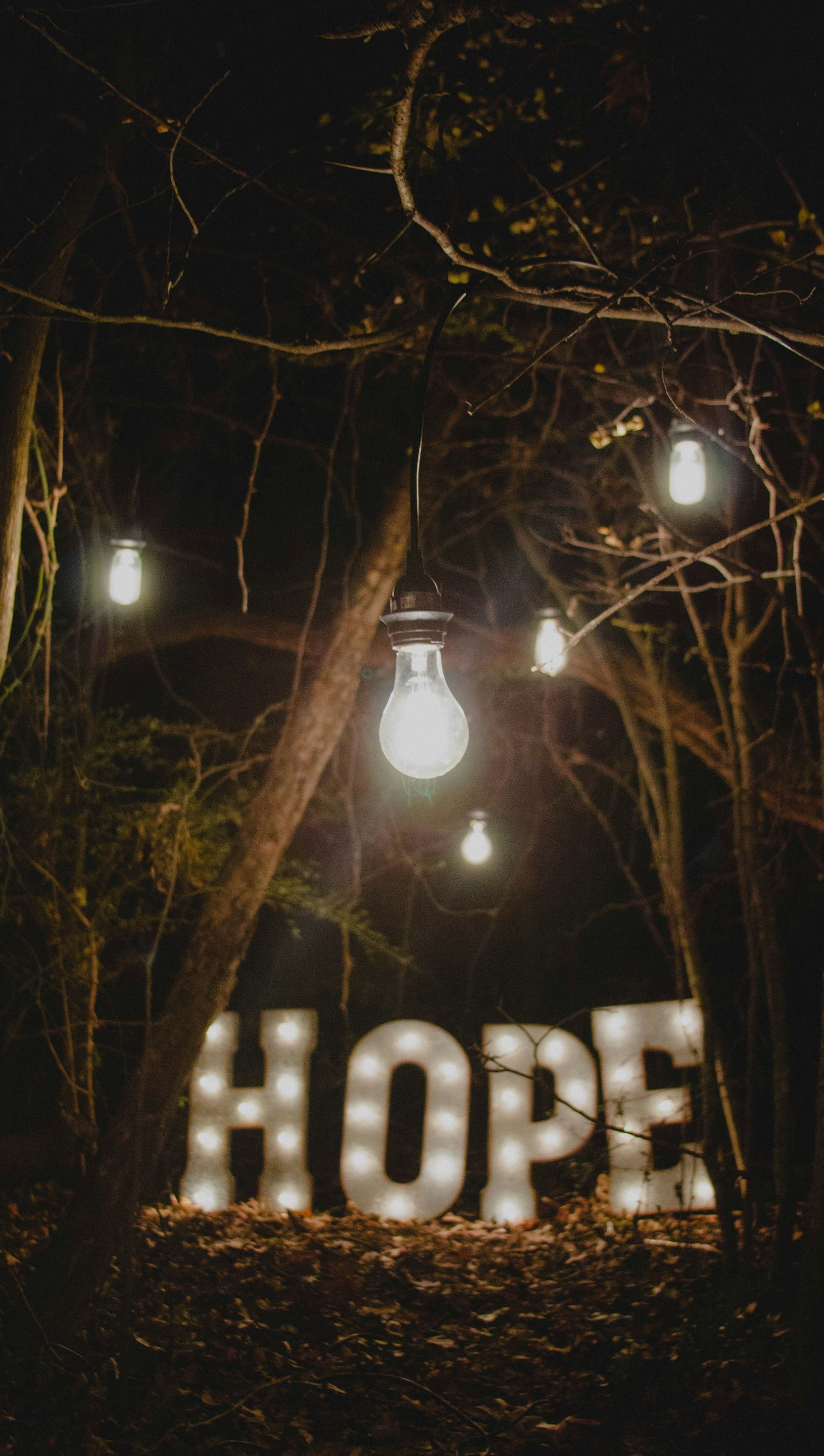 Lit “HOPE” sign in a dark wooded scene with hanging light bulbs