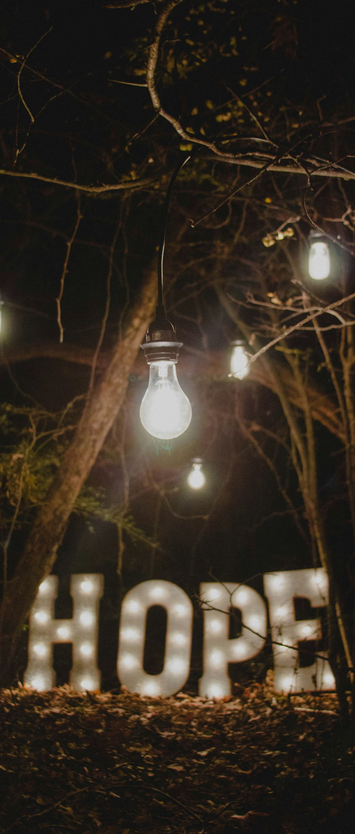 Lit “HOPE” sign in a dark wooded scene with hanging light bulbs