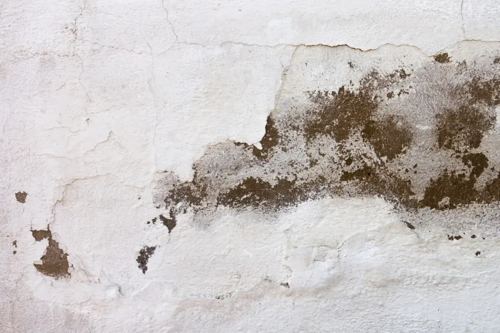 Property Damage Insurance Claim - PDLA Insurance - Water Damage