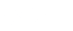 Web Design Digital Presence Logo