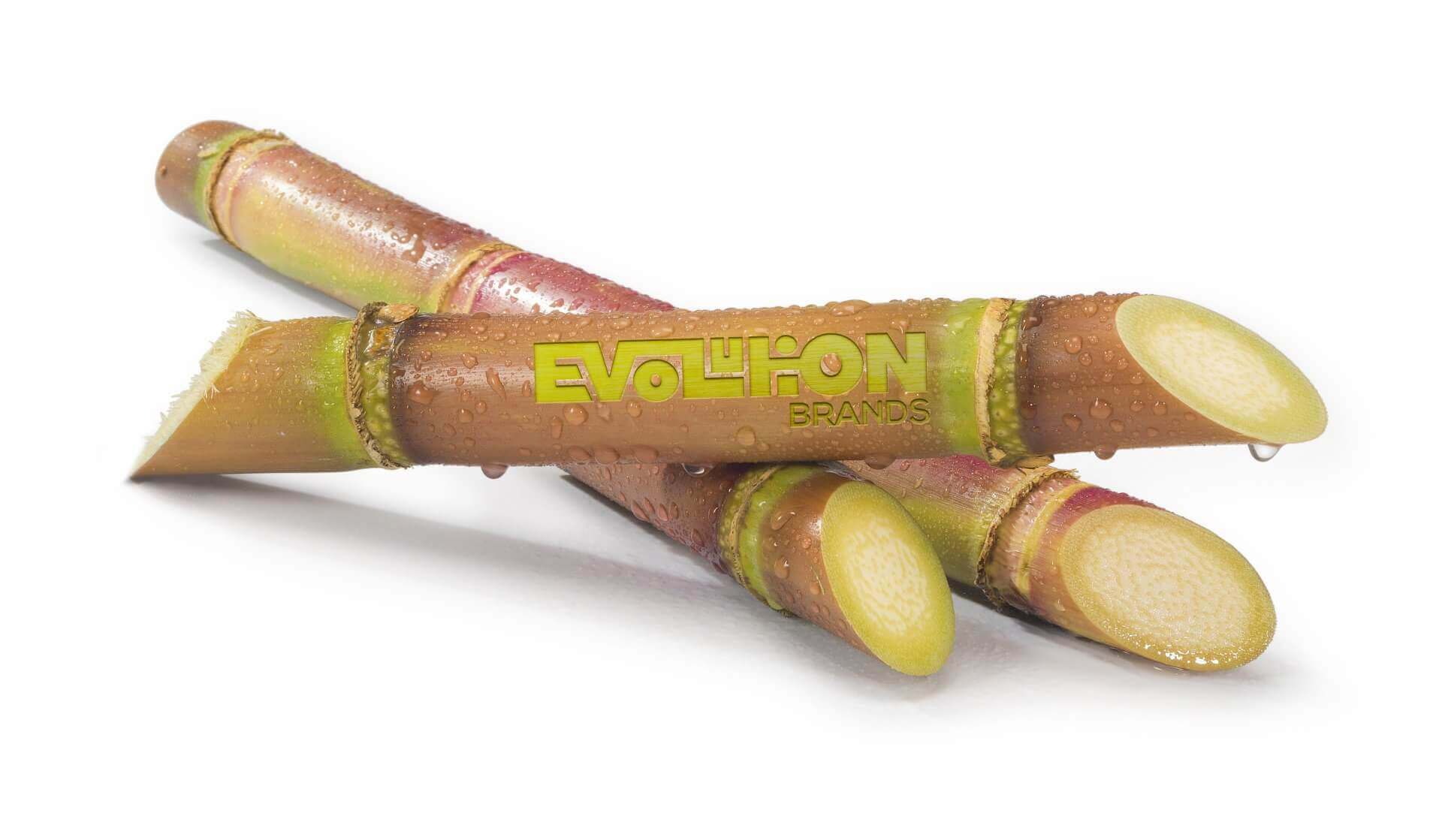 three sugar cane sticks are stacked on top of each other on a white surface .