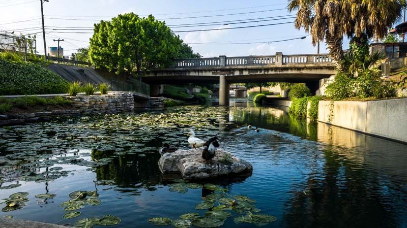 Alamo heights San Antonio
