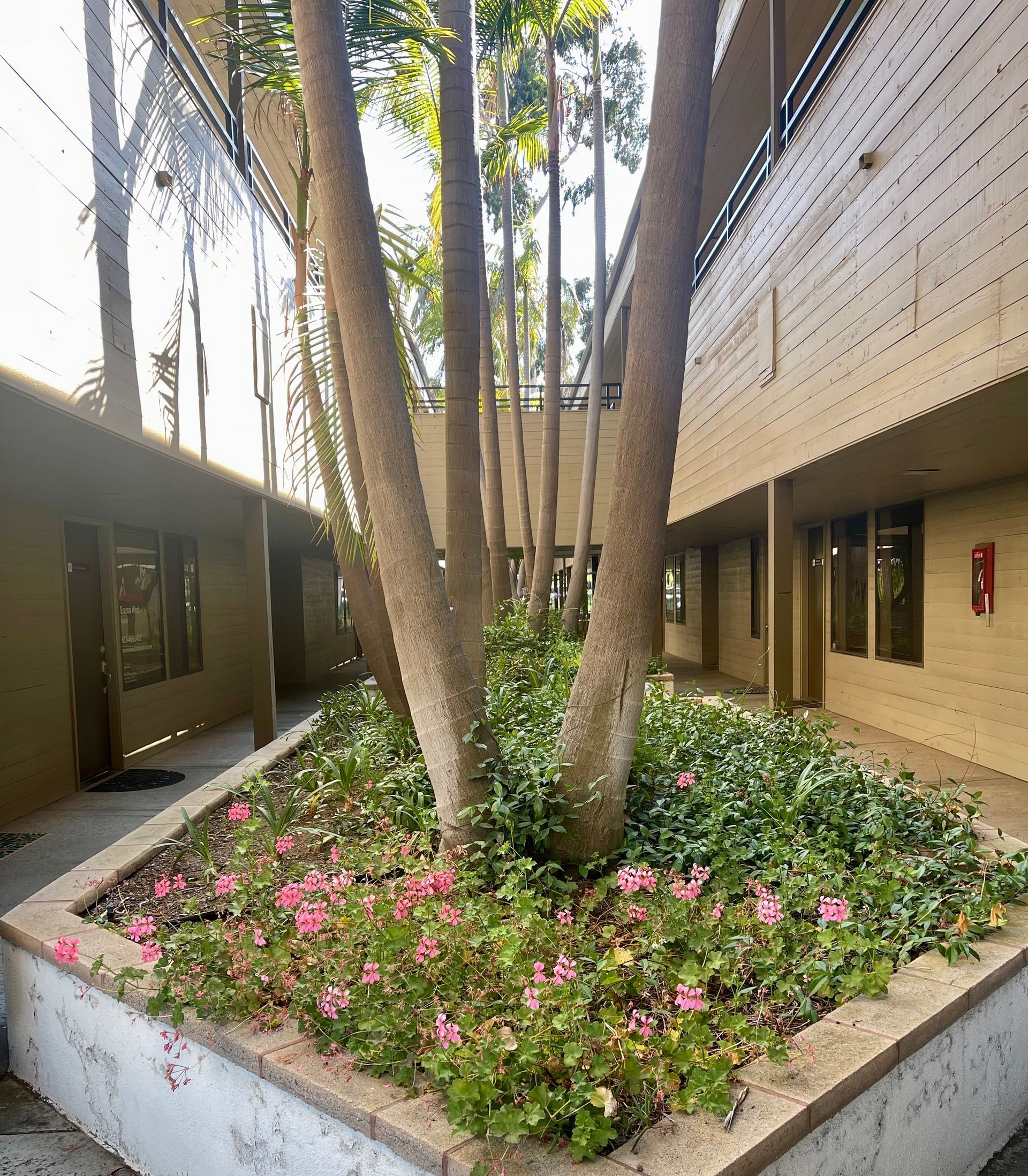 Court yard of the therapy office