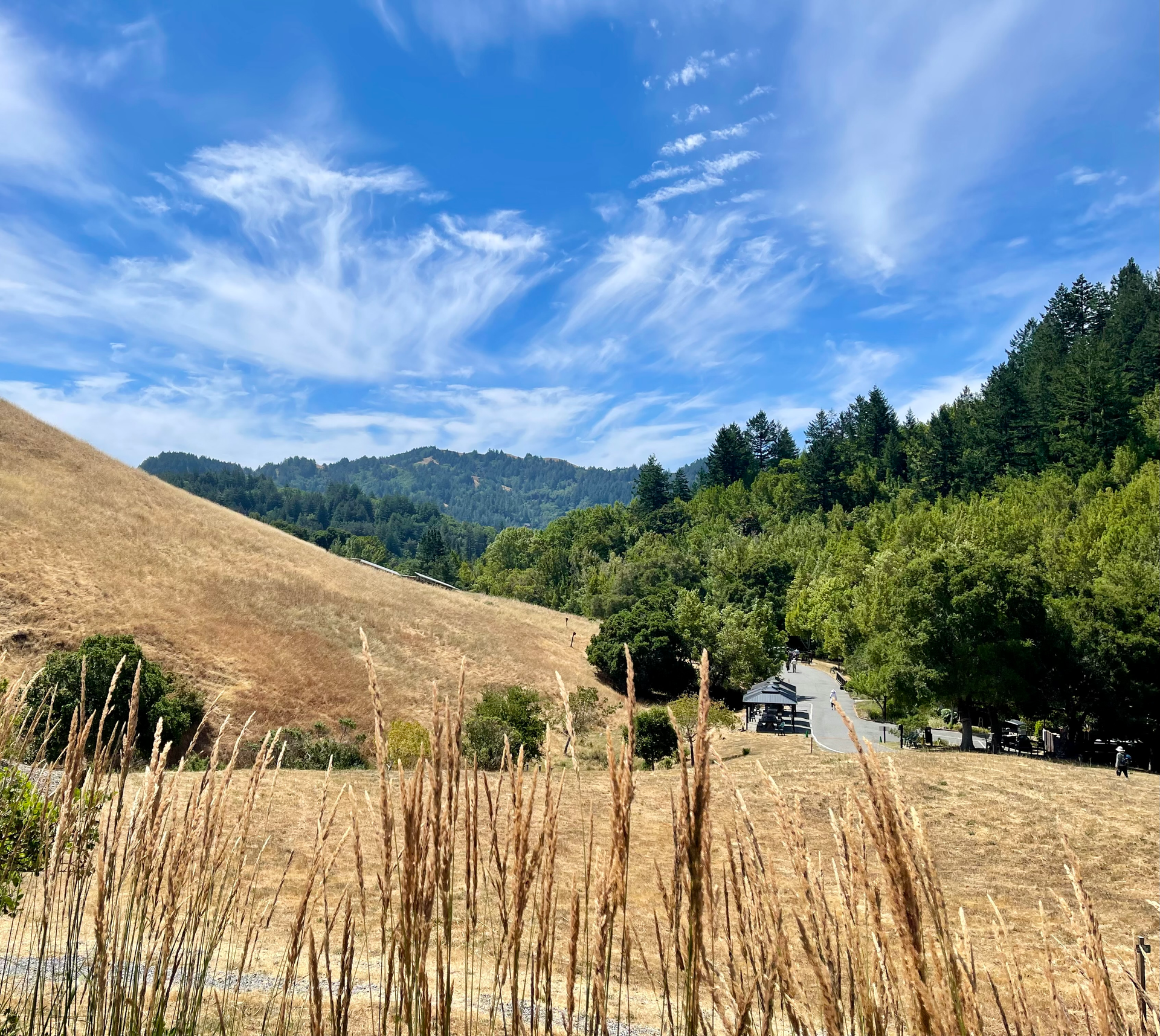 spirit rock meditation center