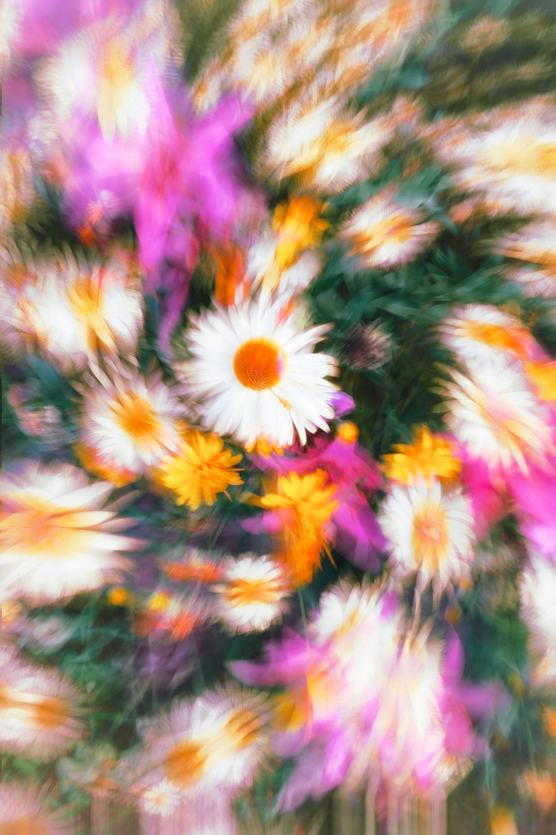 spinning flowers that looks blurry and pretty