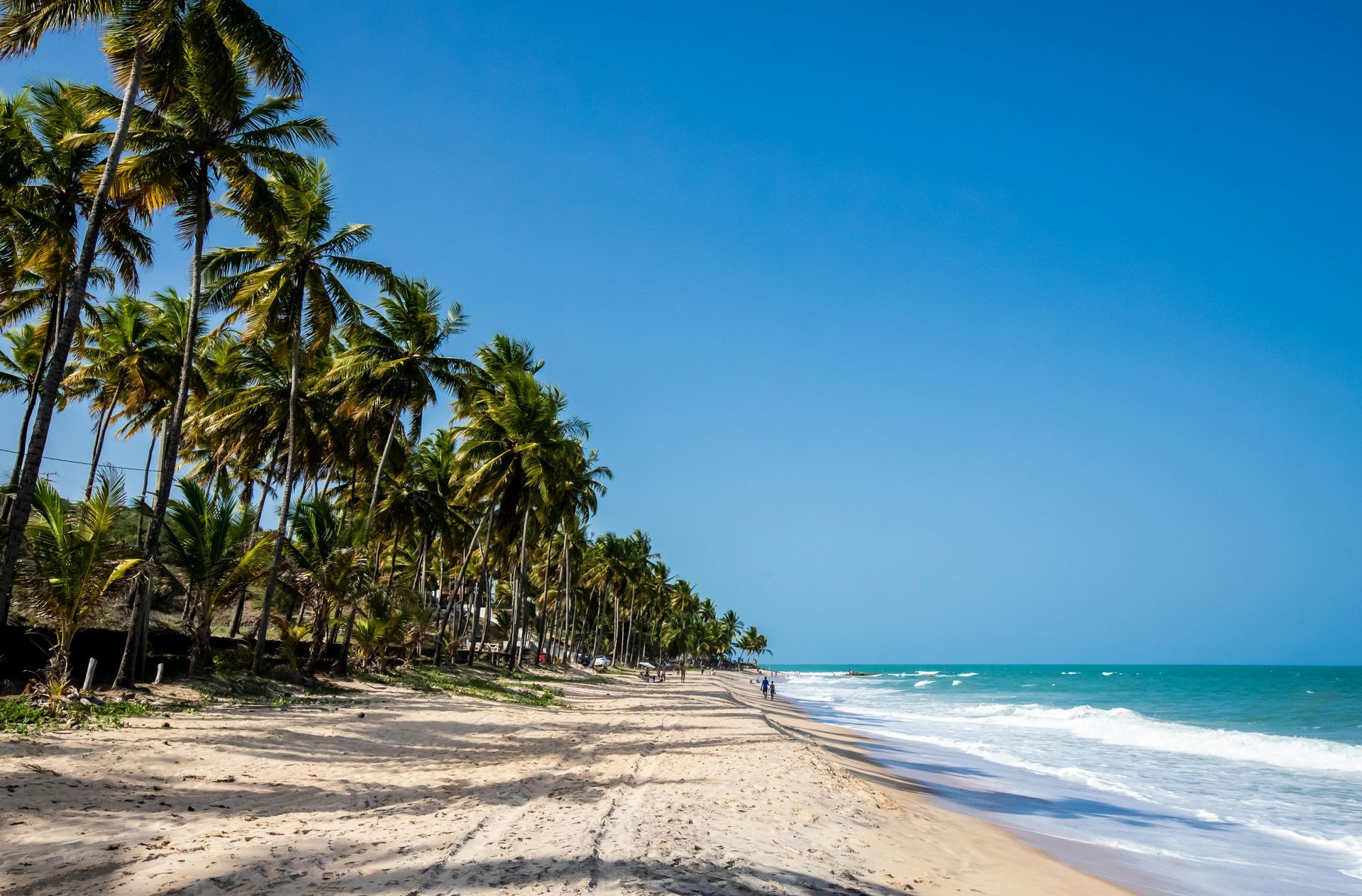 photo of beach and ocean landscape