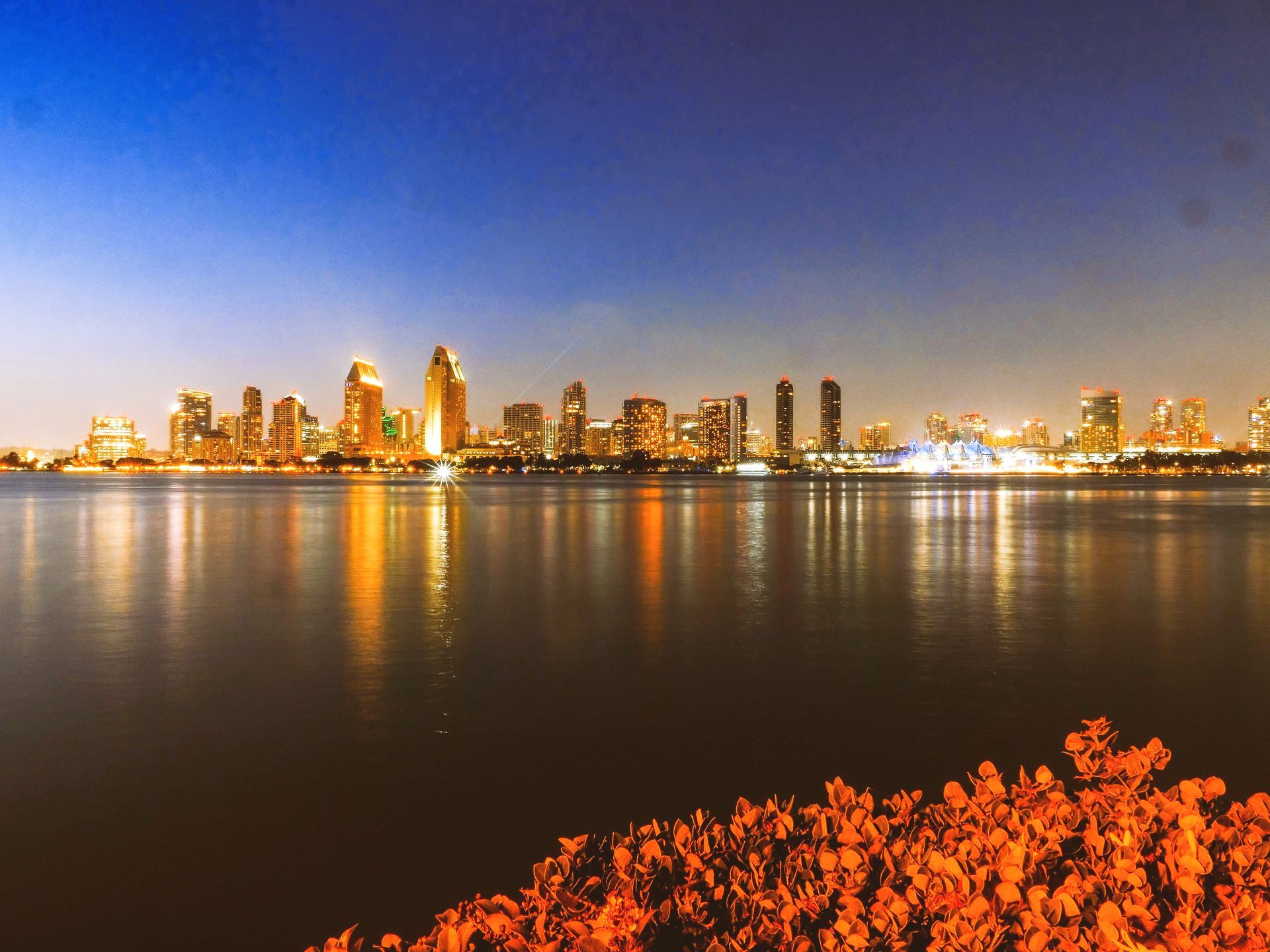 san diego at night time