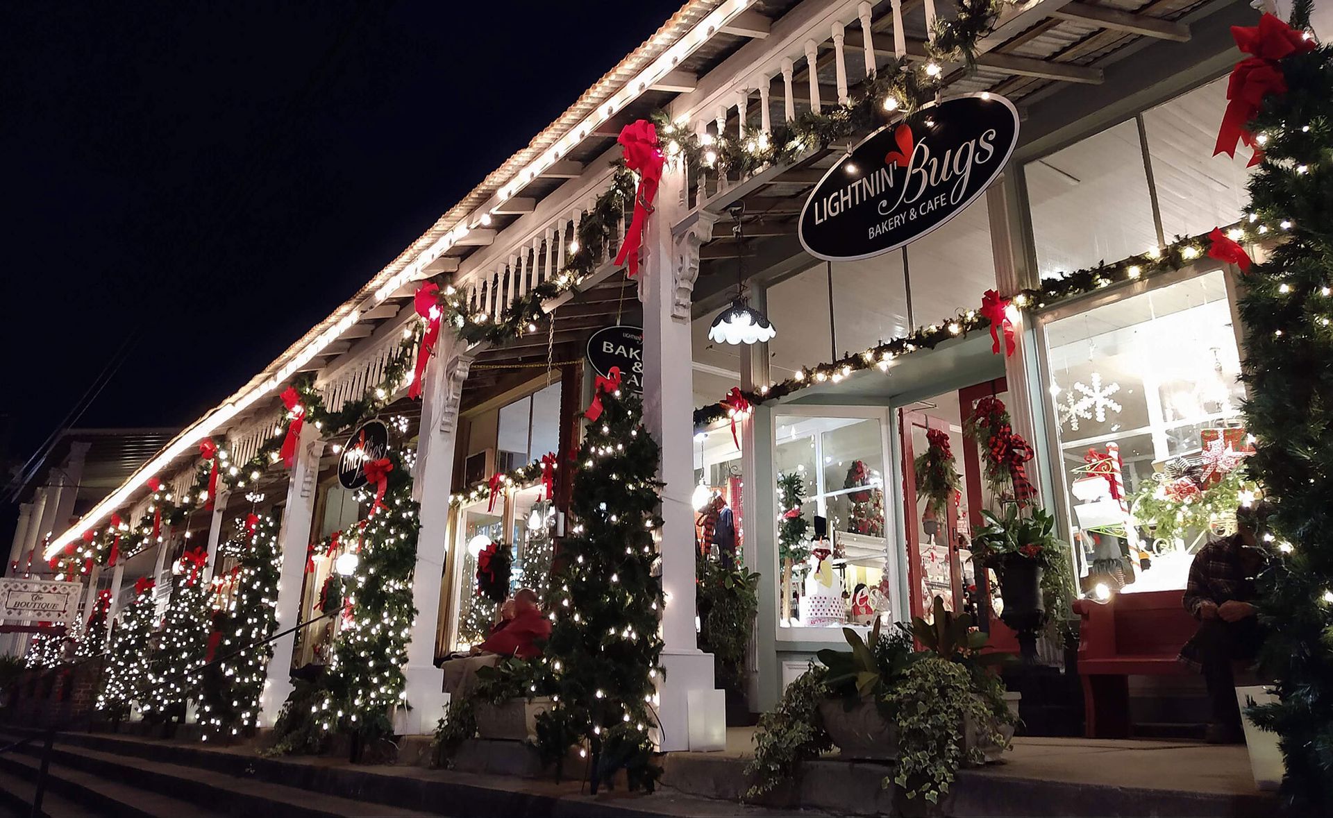 A store front decorated for christmas with trees and lights.