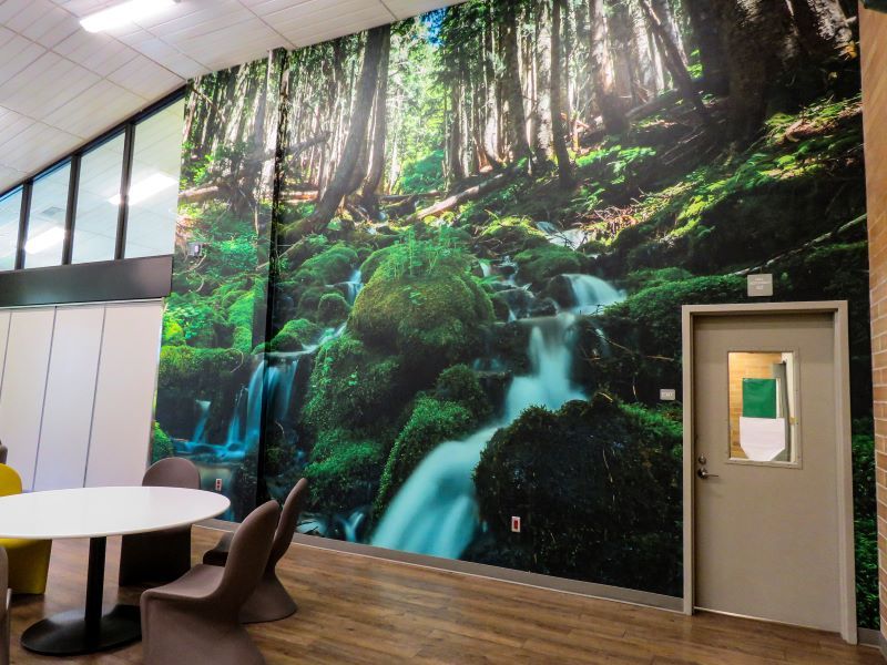 Wall mural of a lush forest and waterfall next to a doorway and seating area.